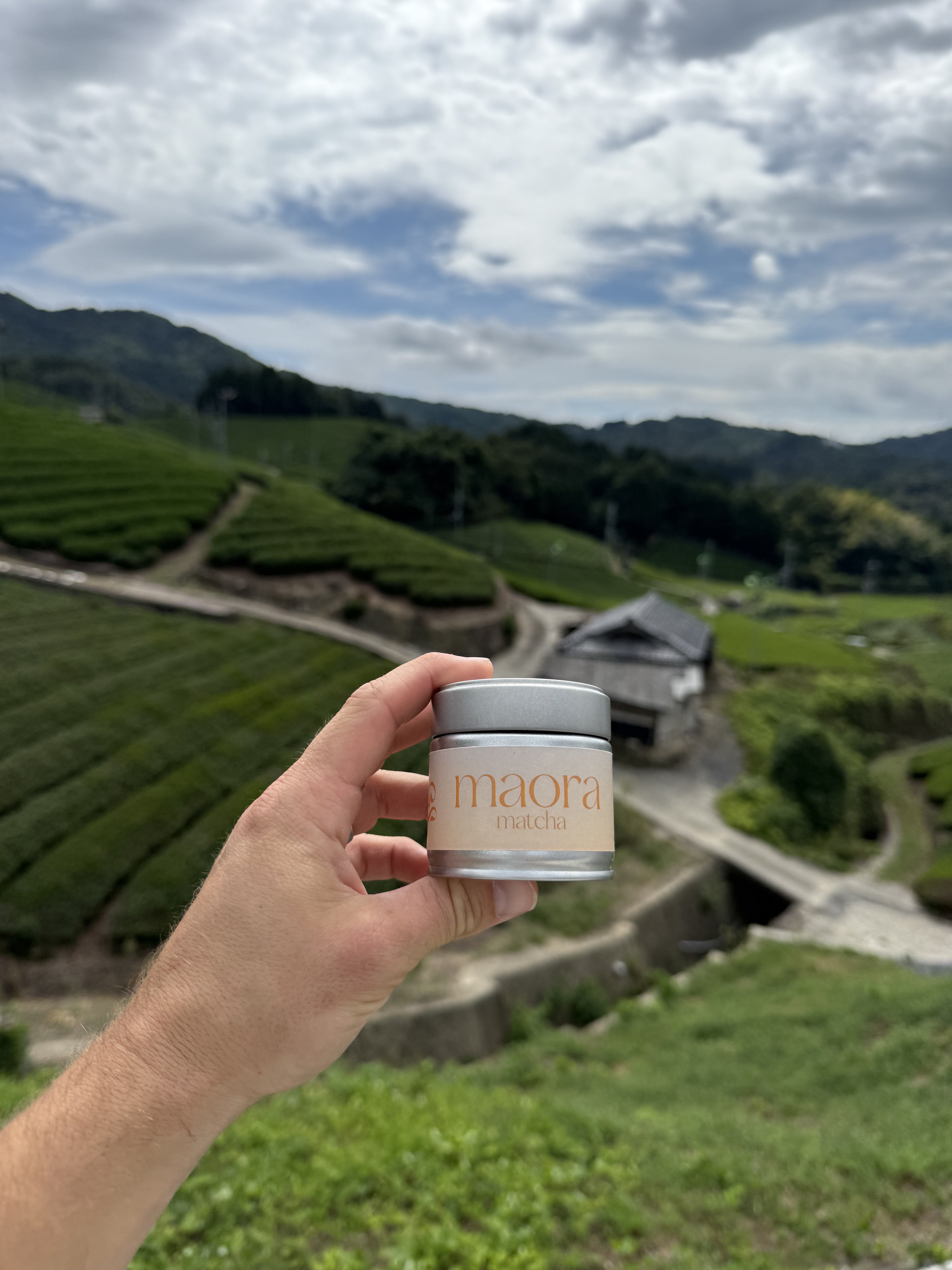 Maora Matcha Dose vor einer Teeplantage in Japan